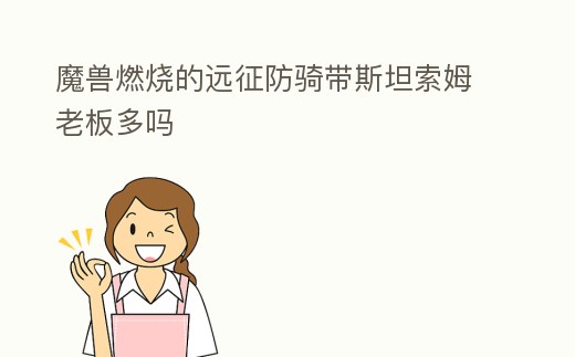 魔獸燃燒的遠(yuǎn)征防騎帶斯坦索姆老板多嗎