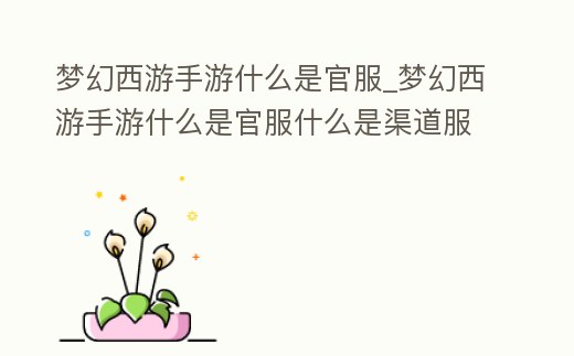 夢幻西游手游什么是官服_夢幻西游手游什么是官服什么是渠道服