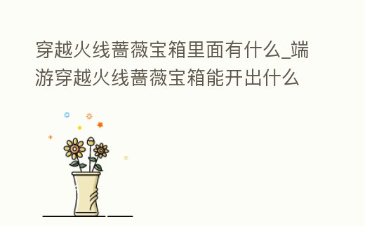 穿越火線薔薇寶箱里面有什么_端游穿越火線薔薇寶箱能開出什么