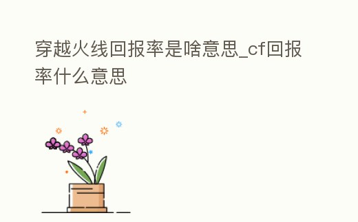 穿越火線回報率是啥意思_cf回報率什么意思