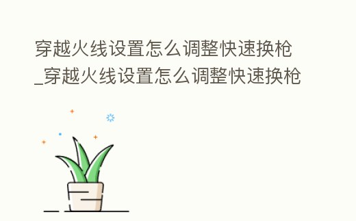 穿越火線設(shè)置怎么調(diào)整快速換槍_穿越火線設(shè)置怎么調(diào)整快速換槍按鍵