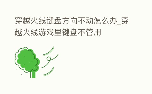 穿越火線鍵盤方向不動怎么辦_穿越火線游戲里鍵盤不管用