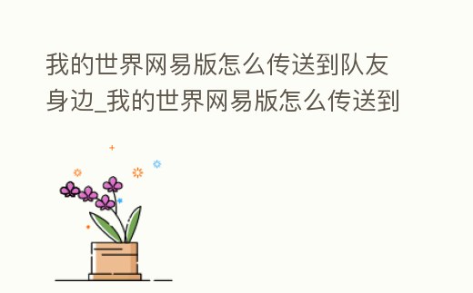 我的世界網易版怎么傳送到隊友身邊_我的世界網易版怎么傳送到隊友身邊的指令