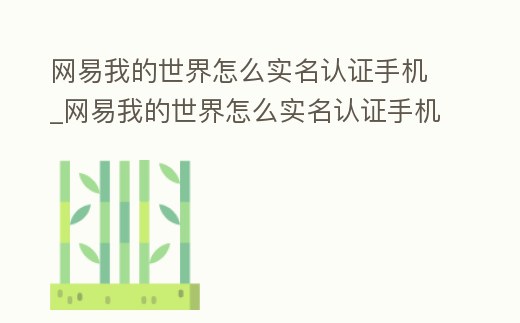 網易我的世界怎么實名認證手機_網易我的世界怎么實名認證手機號