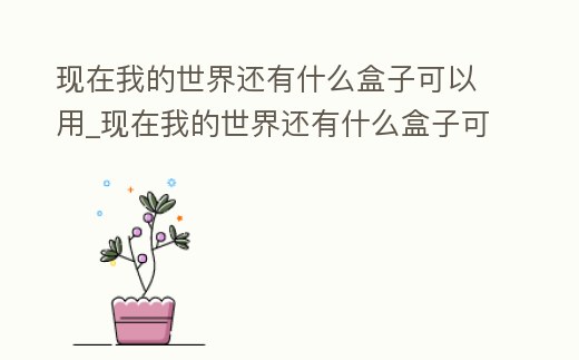 現在我的世界還有什么盒子可以用_現在我的世界還有什么盒子可以用手機玩