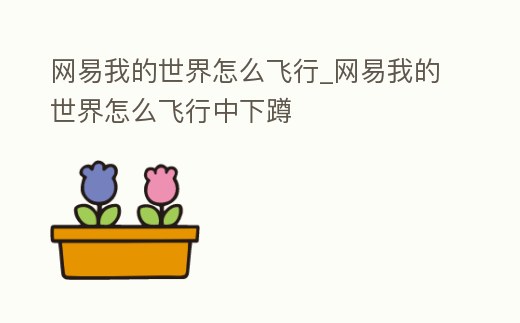 網易我的世界怎么飛行_網易我的世界怎么飛行中下蹲