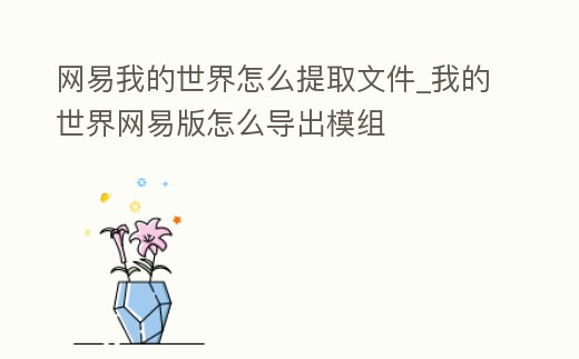 網易我的世界怎么提取文件_我的世界網易版怎么導出模組