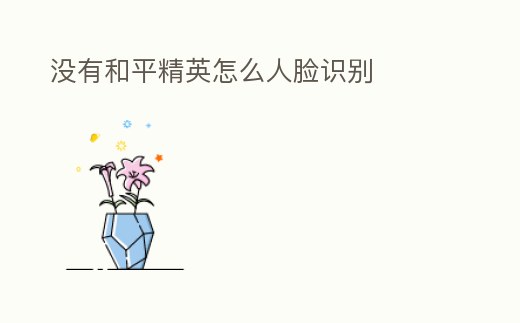 沒有和平精英怎么人臉識別