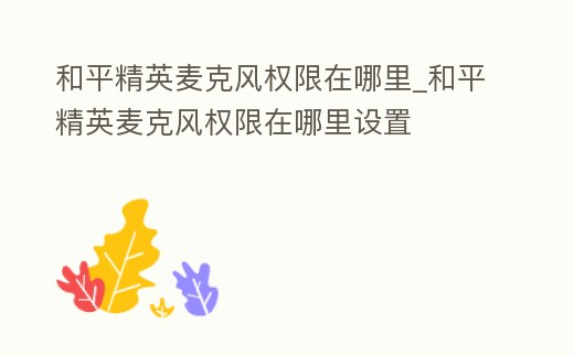 和平精英麥克風權限在哪里_和平精英麥克風權限在哪里設置